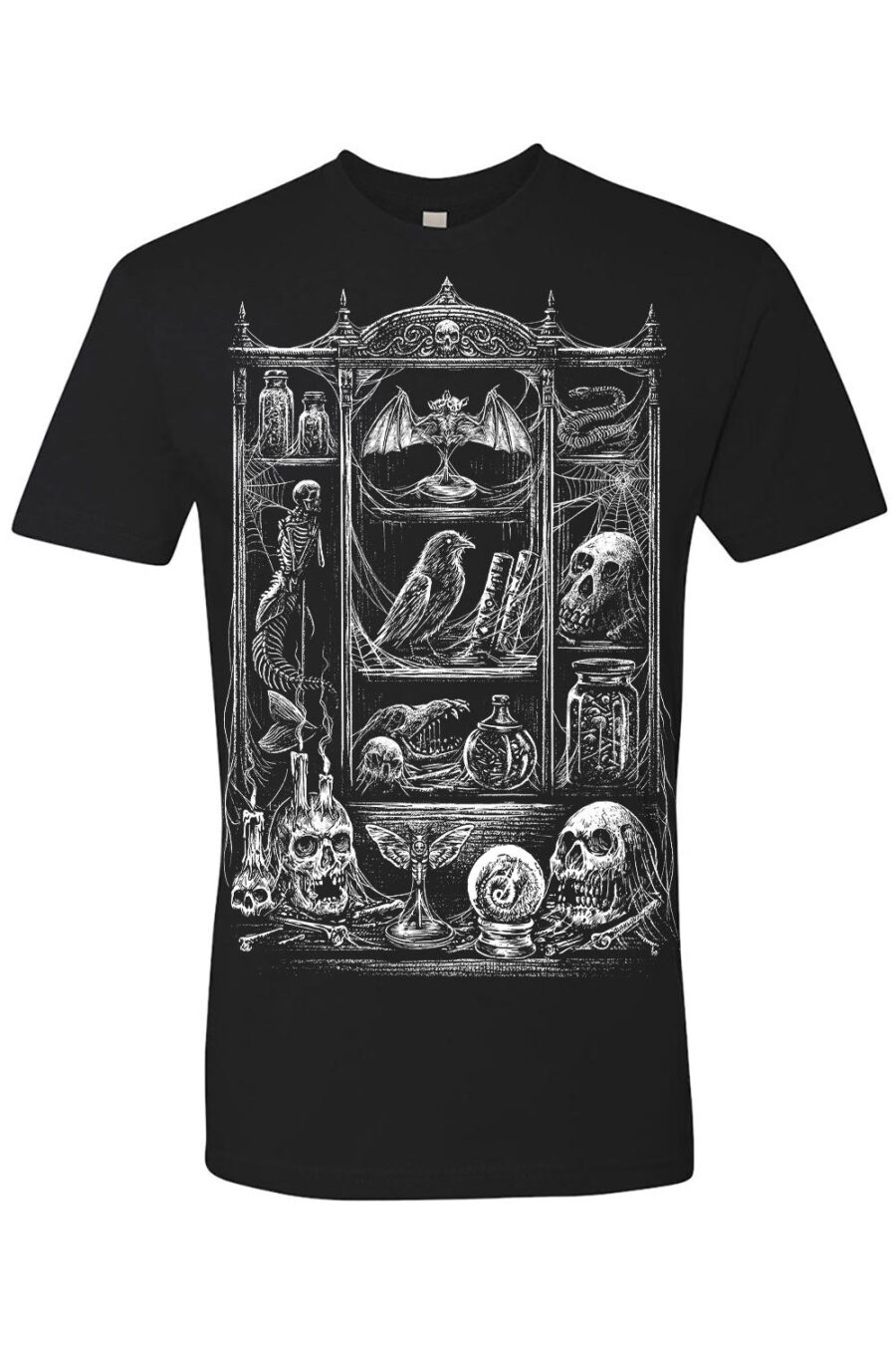 cabinet-of-curiosities-tshirt_nextlevel_black.jpg Cabinet of Curiosities T-shirt