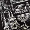 punk-shirt_8b5c23c2-1bdf-4ed1-ac56-6428f4f2a233.jpg Cabinet of Curiosities Sweatshirt