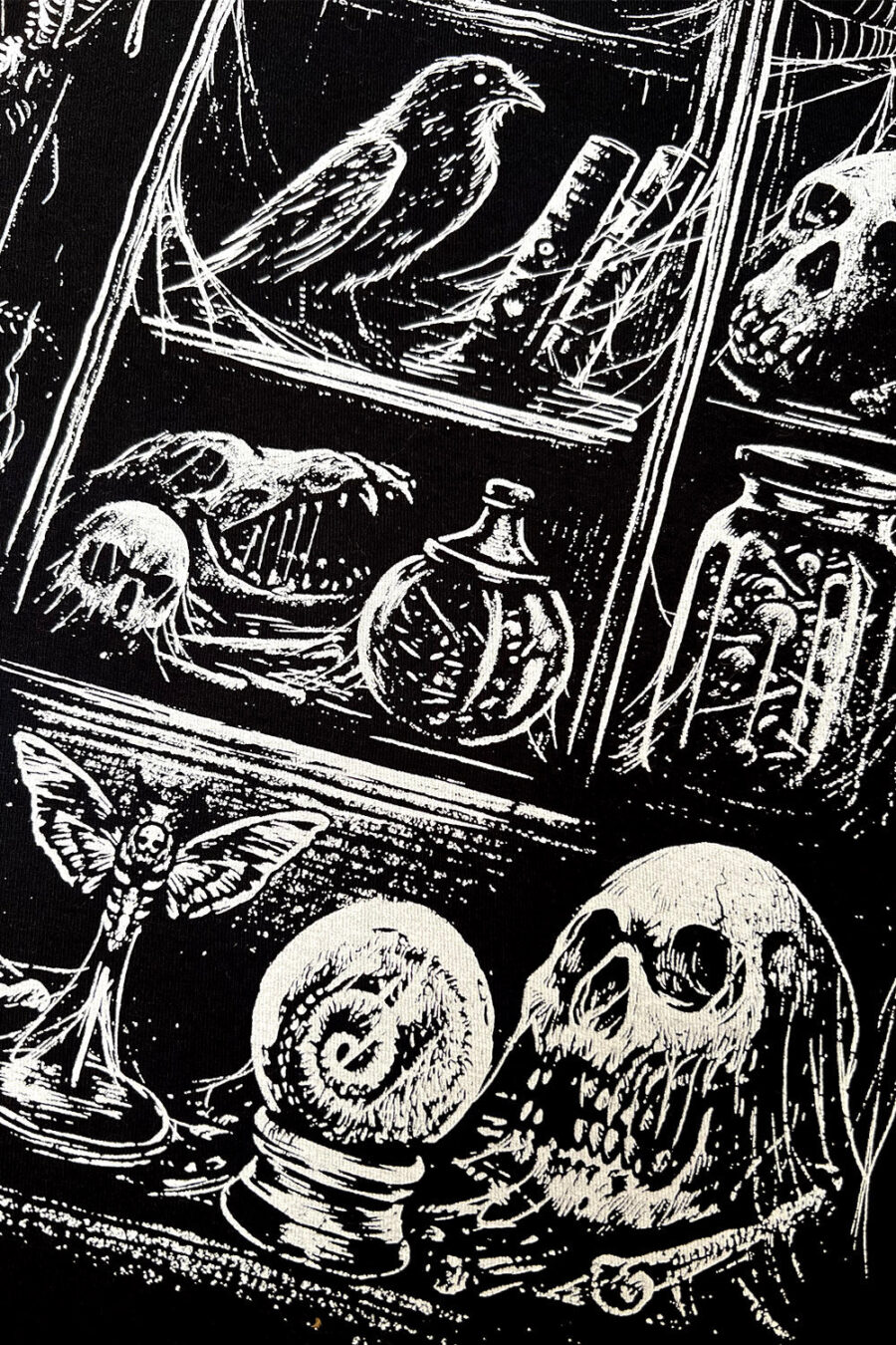 skull-shirt_e8402f1f-45d7-4c9d-a6e9-bddd3fc0f53d.jpg Cabinet of Curiosities Sweatshirt