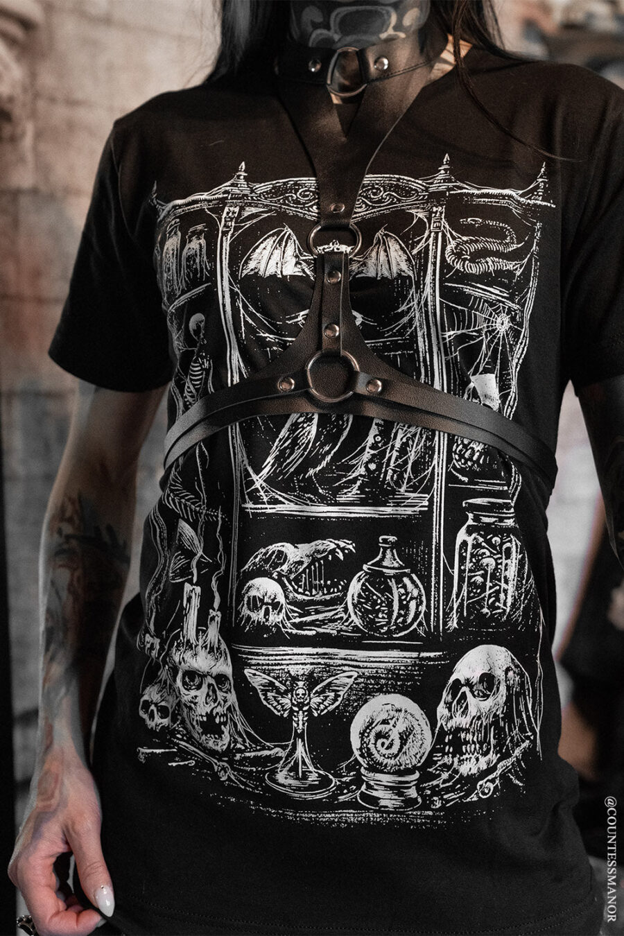 vintage-goth-clothing_2f9473cb-7a6e-4cd8-881b-365880ded994.jpg Cabinet of Curiosities T-shirt